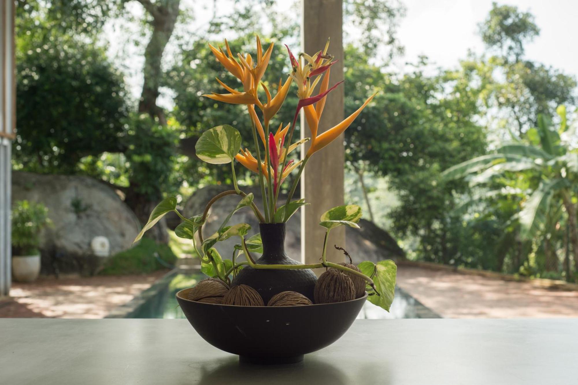 Amma Erna - Galle 5*